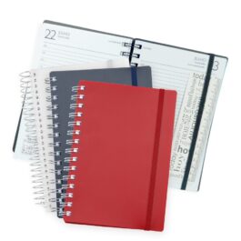 Agenda Diária 2025.