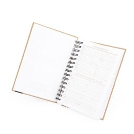 Agenda Diária 2025.