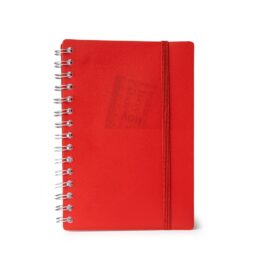 Agenda Diária 2025.