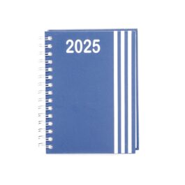 Agenda Diária 2025 Wire-o.