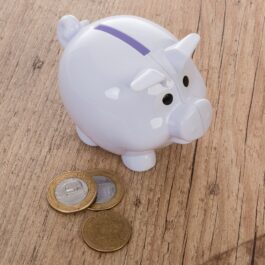 Cofre Plástico Porquinho.