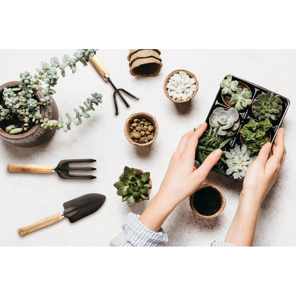 ORCHID. Conjunto de jardinagem com 3 ferramentas em metal e madeira de eucalipto - Imagem 3