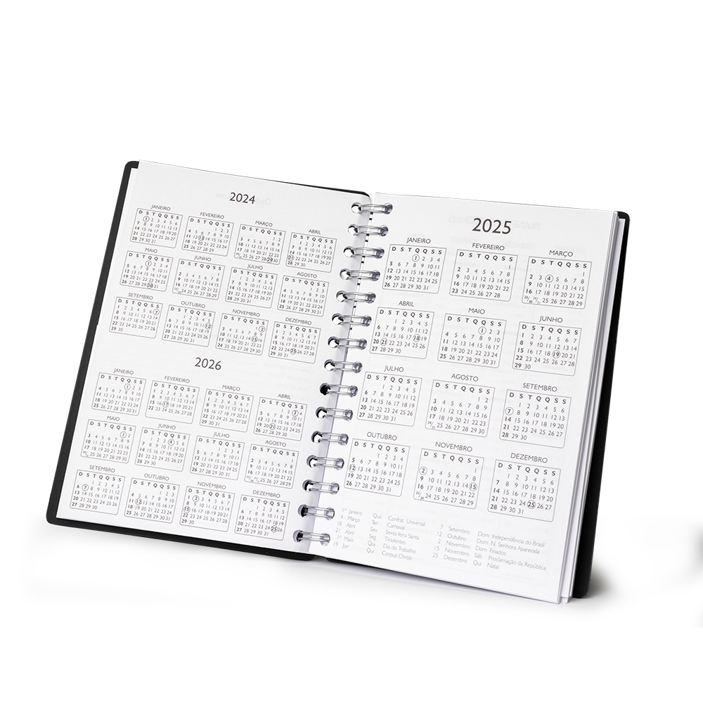 Agenda Diária 2025. - Imagem 4