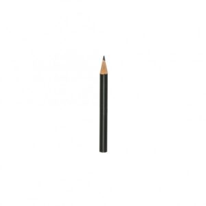 Mini Lápis Ecológico