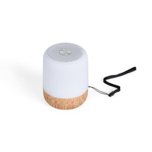 Caixa de Som Multimídia.