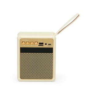 Caixa de Som Multimídia.