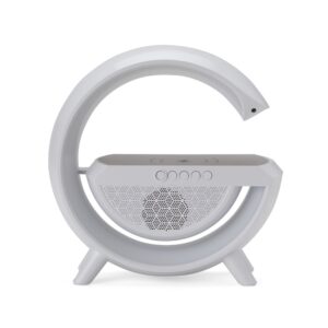 Caixa de Som com Carregador Indução.