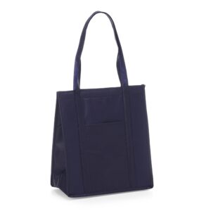 Sacola TNT Térmica 18 Litros.